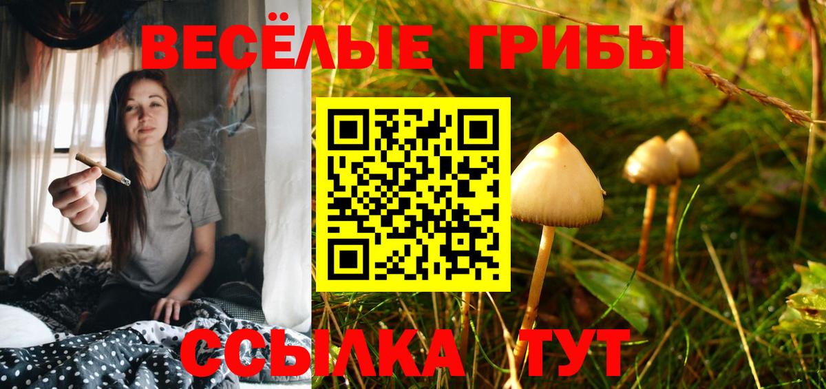 Галлюциногенные грибы мицелий  Псилоцибиновые грибы мицелий  Вход с VPN  Славянск-на-Кубани 