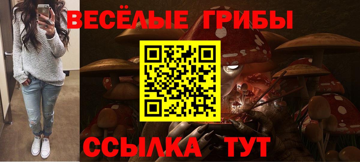 Галлюциногенные грибы Psilocybe Славянск-на-Кубани